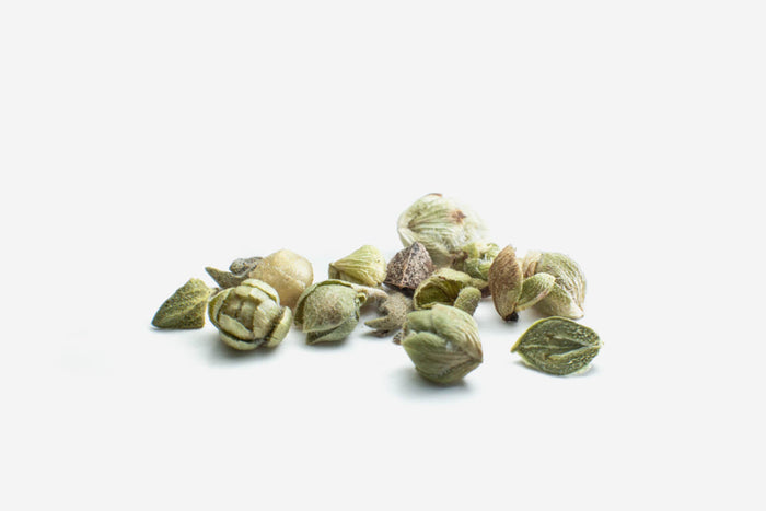 Bourgeons d'origan Georges Colin - 20g