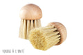 Brosse à champignons La Bonne Graine 4cm