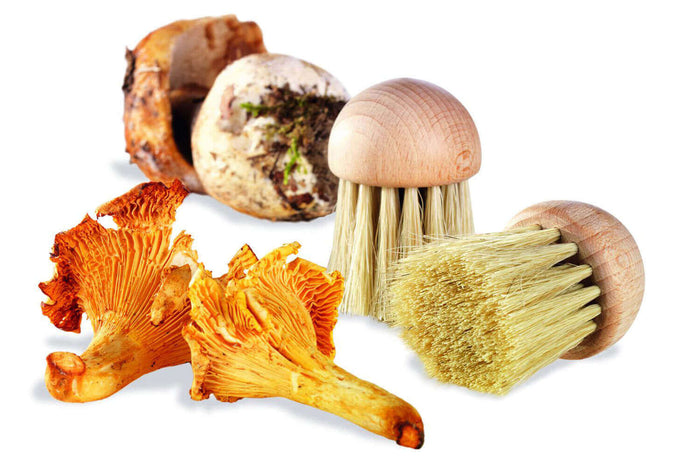 Brosse à champignons La Bonne Graine 4cm