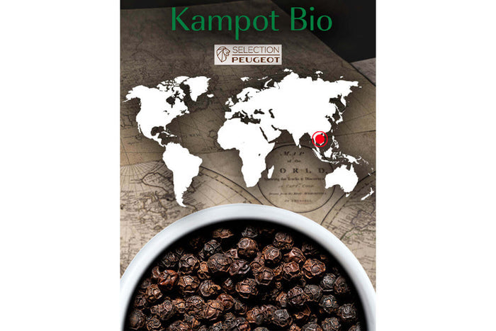 Coffret de 3 sachets fraîcheur Peugeot poivre noir Kampot du Cambodge - 3x20g