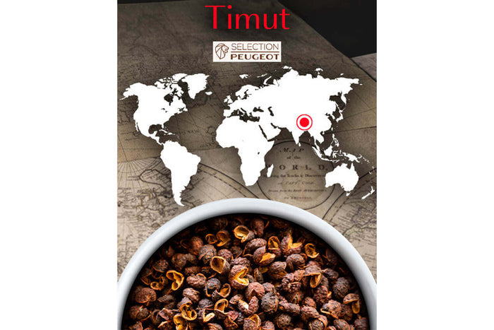 Coffret de 4 sachets fraicheur Peugeot 10g poivre sauvage Timut du Népal
