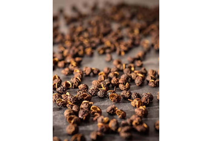 Coffret de 4 sachets fraicheur Peugeot 10g poivre sauvage Timut du Népal