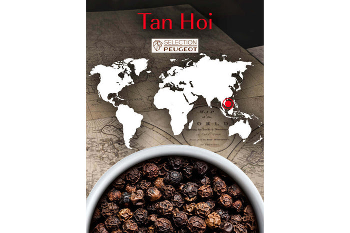 Coffret de 4 sachets fraîcheur Peugeot poivre noir Tan Hoi du Vietnam - 4x20g
