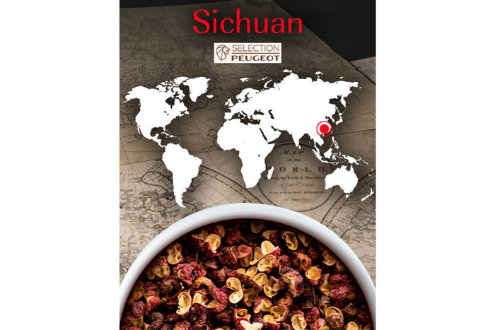 Coffret de 4 sachets fraîcheur Peugeot poivre rouge de Sichuan