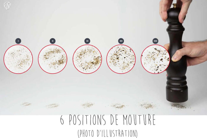 Coffret duo moulin à sel et poivre Peugeot Paris U Select en bois naturel 18cm