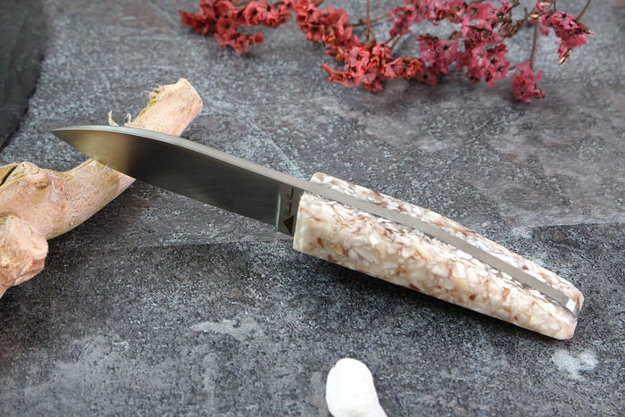 Couteau à huître Charles Canon manche en coquille Saint-Jacques fabriqué en France + coffret en bois