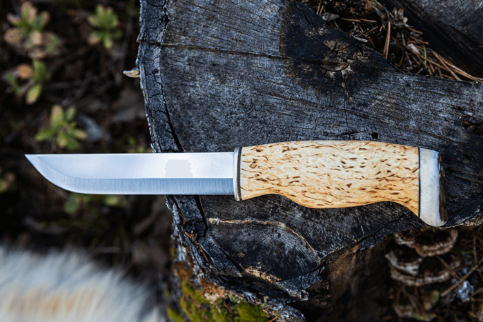 Couteau Arctic Legend Bear Knife AL866 artisanal lame 14,5cm manche en bouleau frisé + étui en cuir