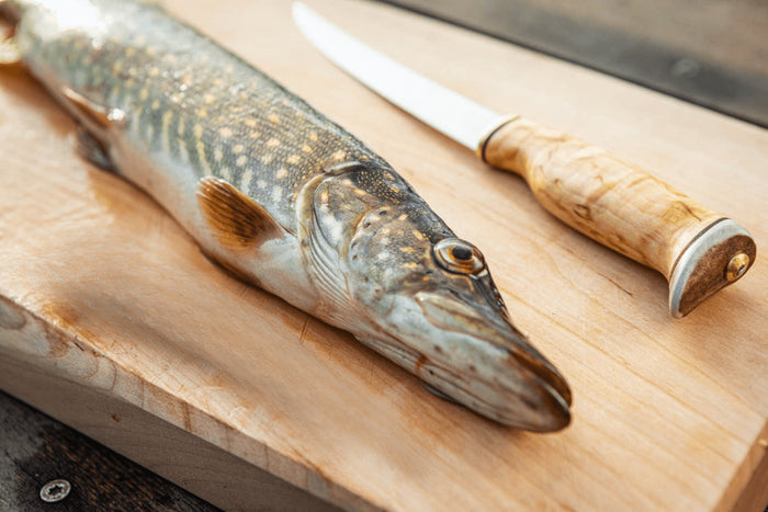 Couteau Arctic Legend Fillet Knife AL023 artisanal lame 16cm manche en bouleau frisé + étui en cuir