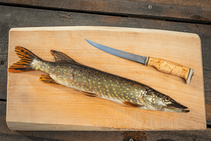 Couteau Arctic Legend Fillet Knife AL023 artisanal lame 16cm manche en bouleau frisé + étui en cuir