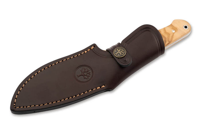 Couteau Böker Arbolito Vultur 02BA415 lame en acier 9,8cm manche en bois d'olivier + étui en cuir