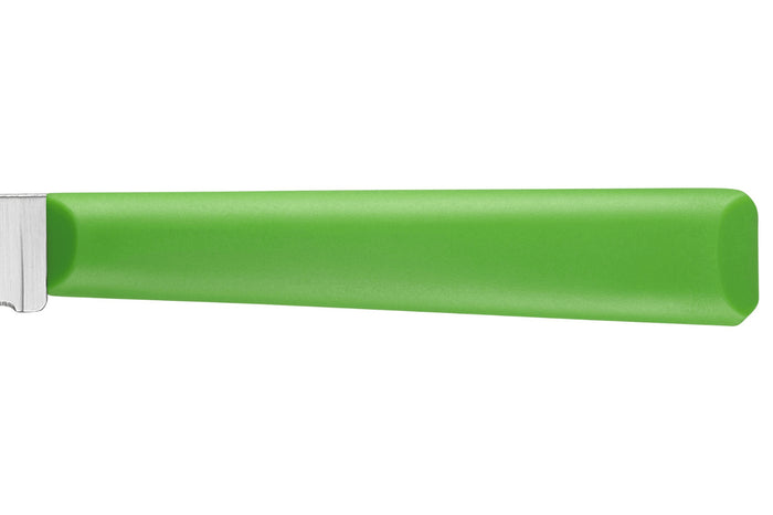 Couteau d'office Opinel Les Essentiels + n°313 lame 10cm crantée manche en polymère vert