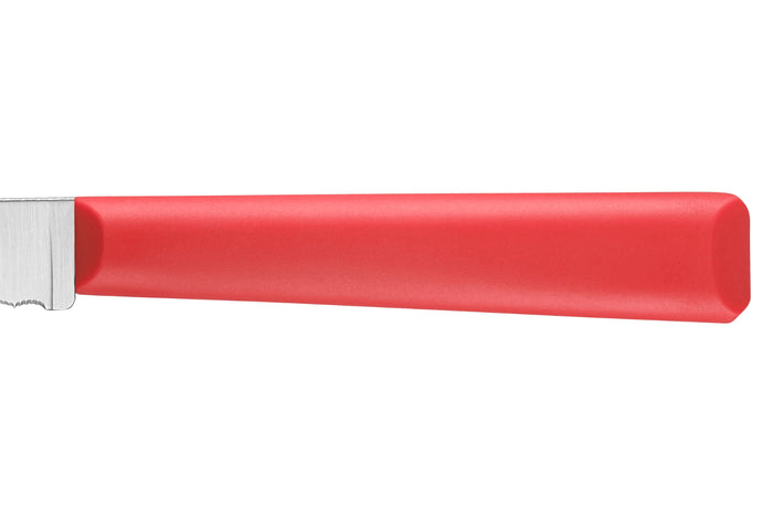 Couteau d'office Opinel Les Essentiels + n°313 lame 10cm crantée manche en polymère rouge