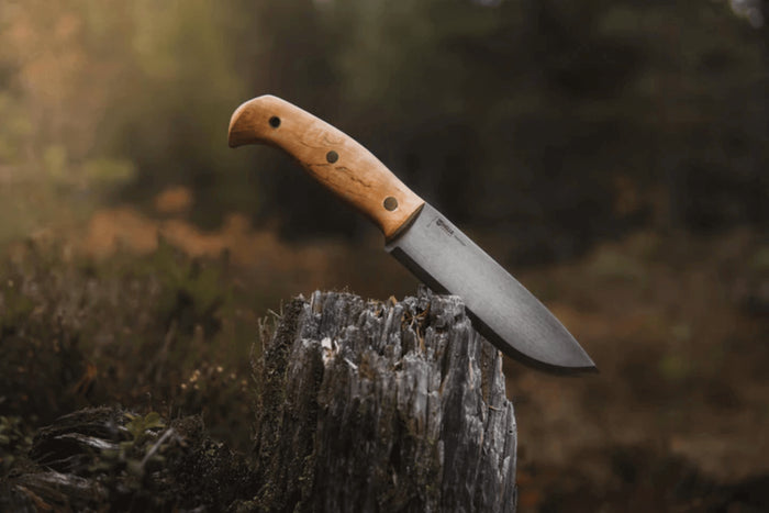 Couteau Helle Nord H670 lame en acier 14,7cm manche en bouleau frisé + étui en cuir