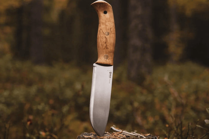 Couteau Helle Nord H670 lame en acier 14,7cm manche en bouleau frisé + étui en cuir