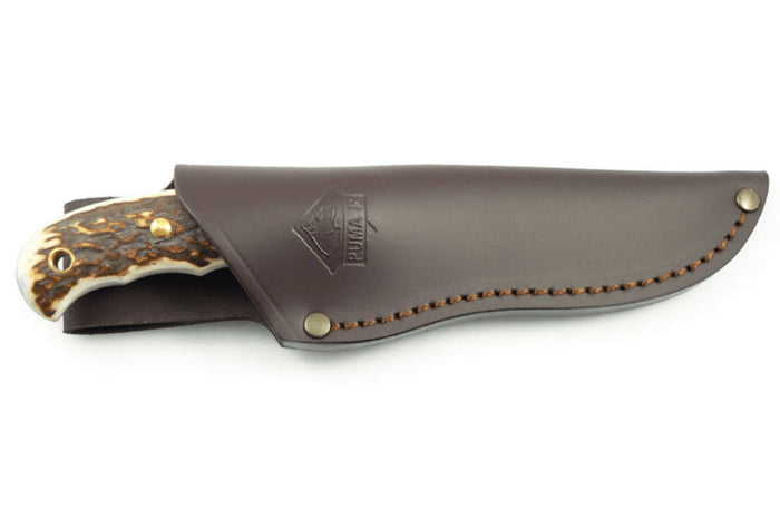 Couteau Puma IP Catamount Stag II 304211 lame 11,1cm manche bois de cerf + étui en cuir