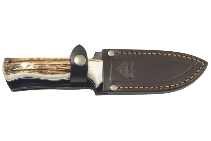 Couteau Puma IP Nordic I Stag 310712 lame 11,4cm manche bois de cerf + étui cuir