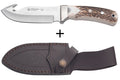 Couteau Puma IP Schwarzwild 338212 lame guthook 12cm manche bois de cerf + étui en cuir