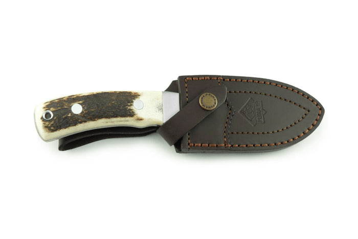 Couteau Puma IP Schwarzwild 338212 lame guthook 12cm manche bois de cerf + étui en cuir