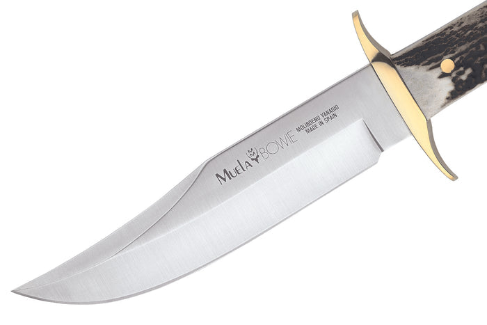 Couteau Muela Bowie 9263 lame en inox 16cm manche en bois de cerf avec lacet et étui en cuir