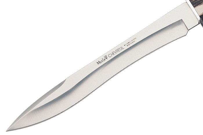 Couteau Muela Chevreuil 9220 lame en inox 22cm manche en bois de Cerf + étui en cuir