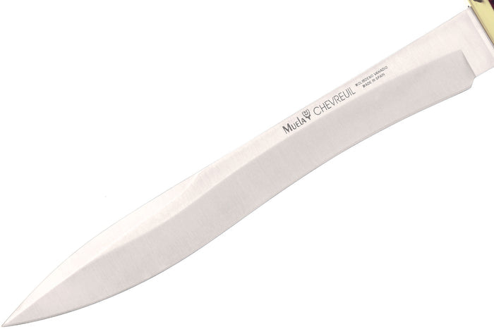 Couteau Muela Chevreuil 9313 lame en inox 22cm manche en Stamina + étui en cuir