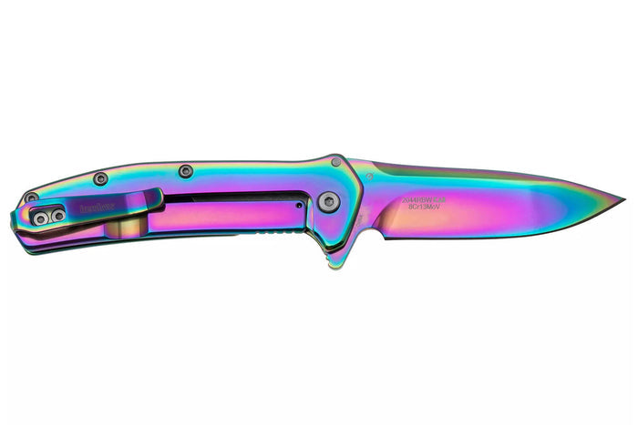 Couteau pliant Kershaw Outcome KS.2044RBW manche en acier inoxydable 9,8cm