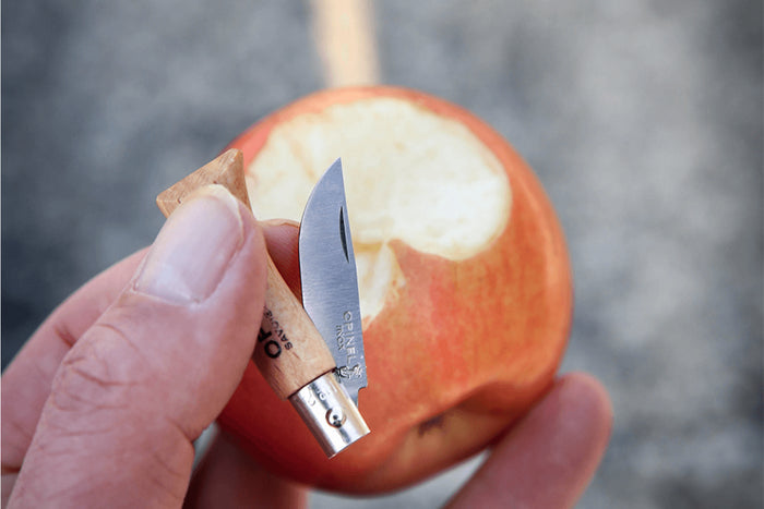 Couteau pliant Opinel Tradition Inox n°02 lame 3,5cm manche hêtre