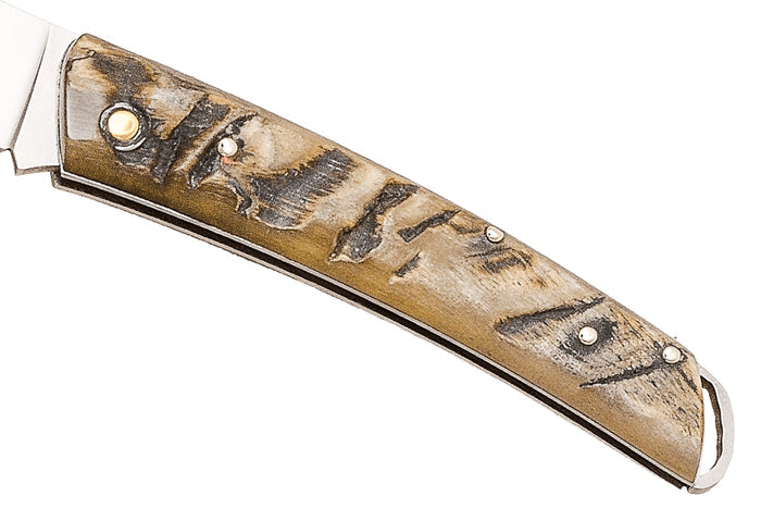 Couteau pliant Salamandra manche corne brute 9cm