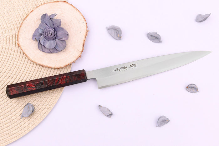Couteau yanagiba japonais 21cm Sakai Takayuki Nanairo manche en résine laqué rouge