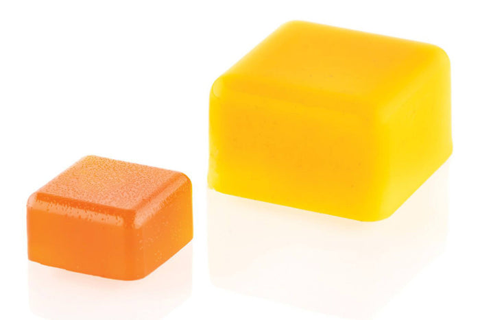 Moule en silicone et tritan professionnel Silikomart 24 pralines avec insert