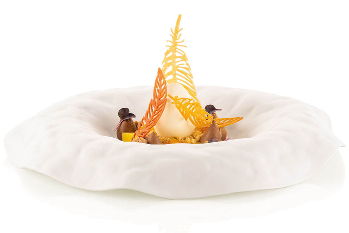 Moule en silicone professionnel Silikomart Naturae 470x270mm 20 plumes