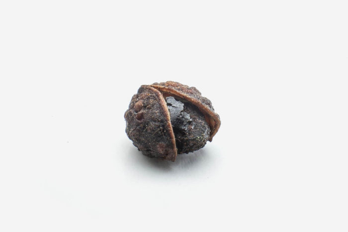 Poivre de Timut Georges Colin - 40g