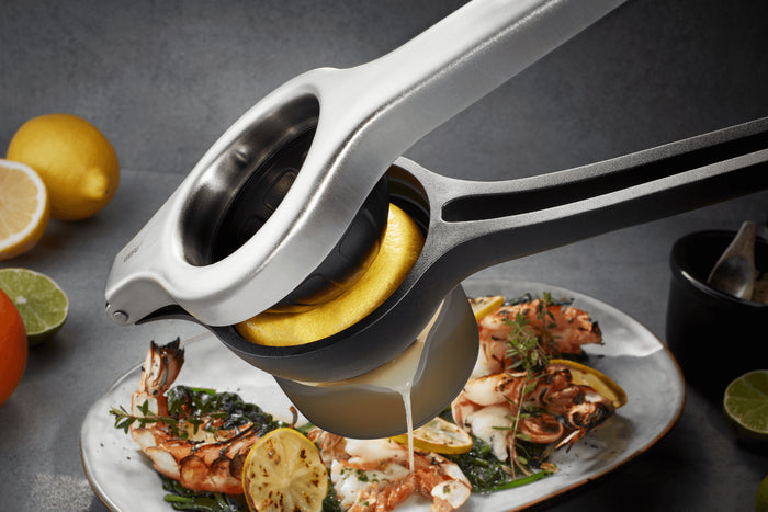 Presse-agrumes Gefu Lemon Pro en acier inox et polymère anthracite