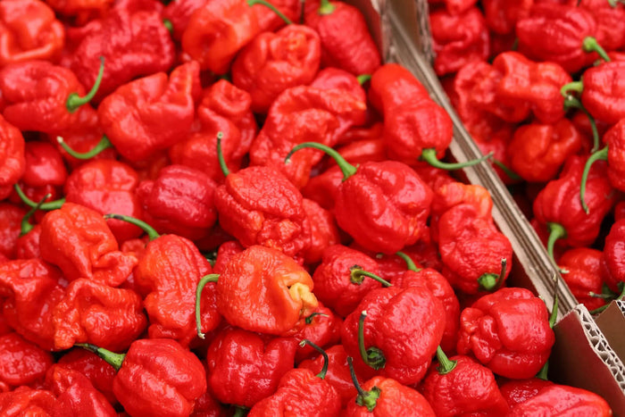 Sauce Martin Armageddon force 10/12 piment pur cru 100g