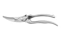 Sécateur à volailles Wusaki 26cm en acier inoxydable